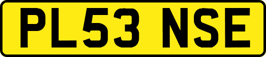 PL53NSE