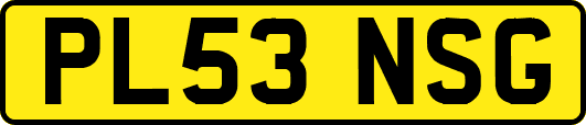 PL53NSG