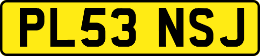 PL53NSJ