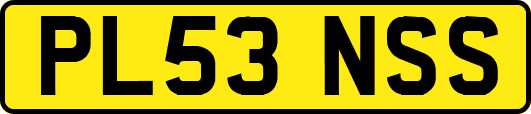 PL53NSS
