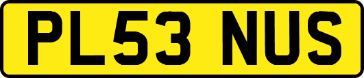 PL53NUS