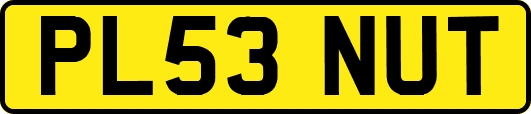 PL53NUT