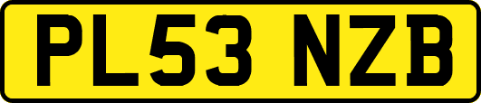PL53NZB