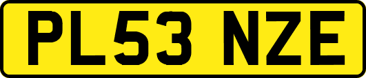 PL53NZE