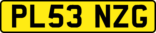 PL53NZG