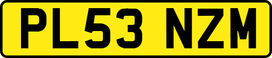 PL53NZM