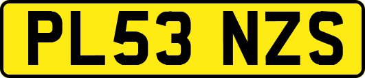PL53NZS