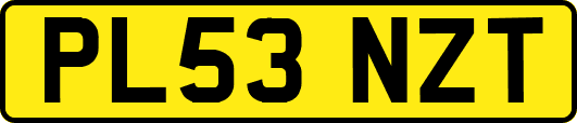 PL53NZT