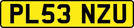 PL53NZU