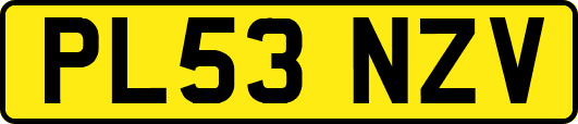 PL53NZV