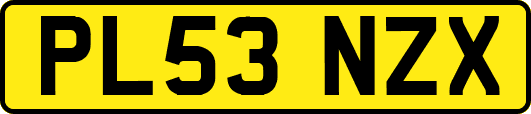 PL53NZX