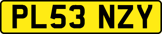 PL53NZY