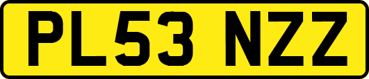PL53NZZ