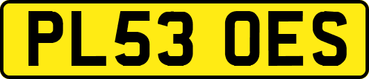 PL53OES
