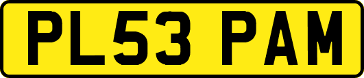PL53PAM