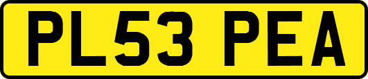 PL53PEA