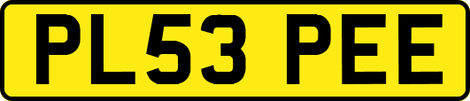 PL53PEE