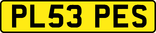 PL53PES