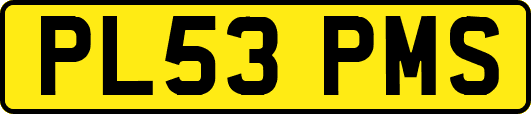 PL53PMS