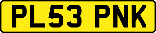 PL53PNK