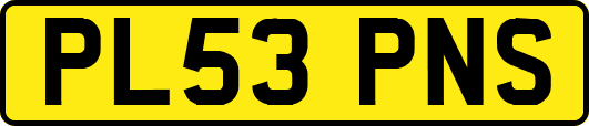 PL53PNS