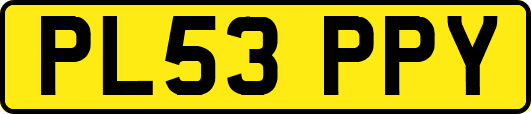PL53PPY