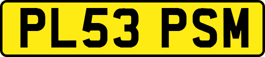 PL53PSM