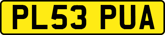 PL53PUA