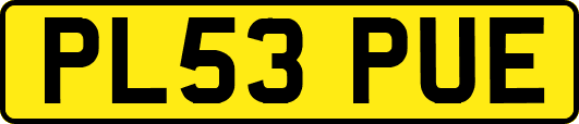 PL53PUE