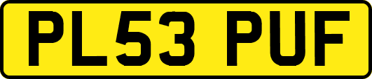 PL53PUF