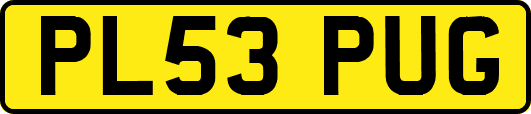 PL53PUG