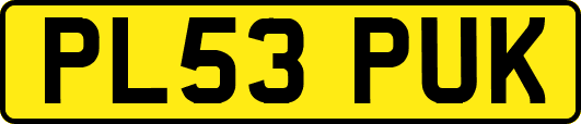 PL53PUK