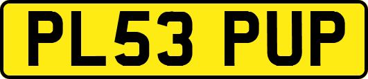 PL53PUP
