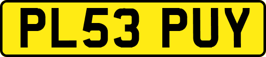 PL53PUY