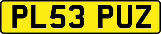 PL53PUZ
