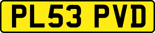 PL53PVD