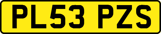 PL53PZS