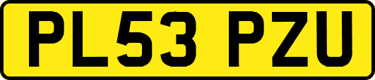 PL53PZU