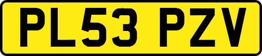 PL53PZV