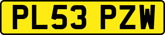 PL53PZW