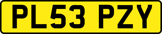 PL53PZY