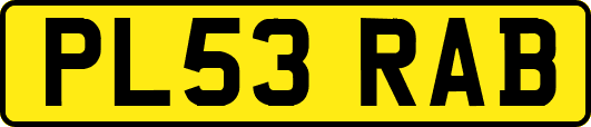 PL53RAB