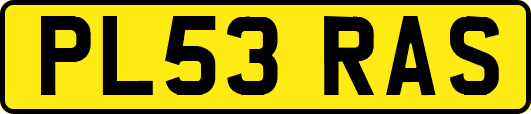 PL53RAS