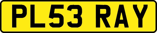 PL53RAY