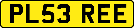 PL53REE