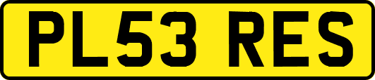 PL53RES
