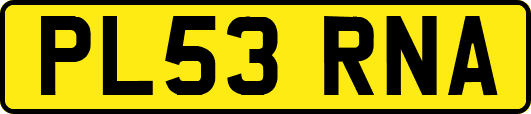 PL53RNA