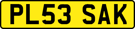 PL53SAK