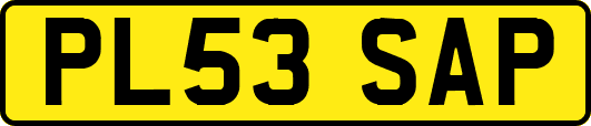 PL53SAP