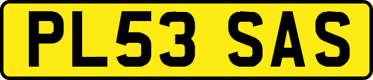 PL53SAS